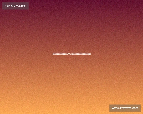 邹阳自费出国特训挑战年薪20万 合同期满夏天将成自由市场热门人才